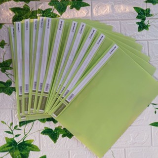 

KING JIM 4431SCGA-F PEA GREEN Business File ukuran F4 Folio Kingjim set isi 12pcs