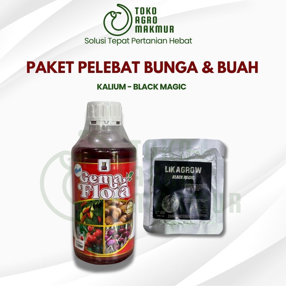 PAKET PELEBAT BUNGA & BUAH | GEMA FLORA MERAH + BLACK MAGIC | METODE PROF UDIN |