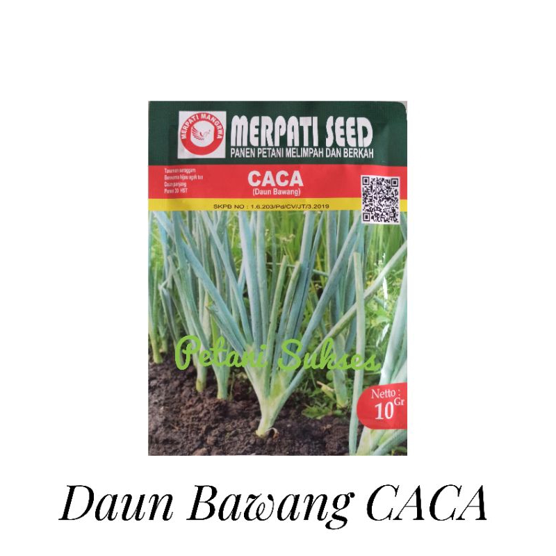 (10gr) Bibit Benih DAUN BAWANG CACA 10Gr Merpati Seed