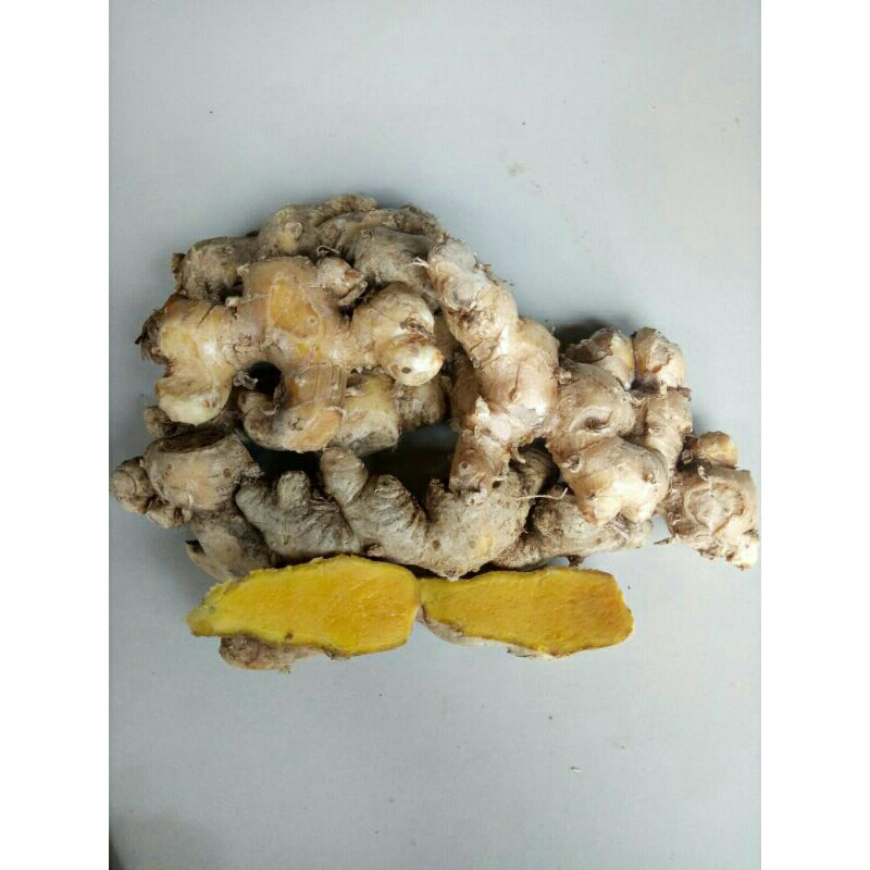 

Bangle/benggle segar 1kg Panglai segar (Zingiber montanum)