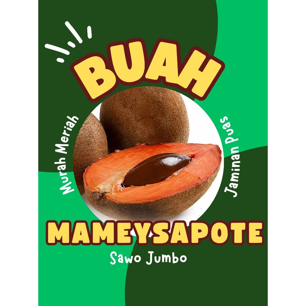 

DICARI-CARI !! Buah Unik Mameysapote, Buah Langka Sawo Jumbo