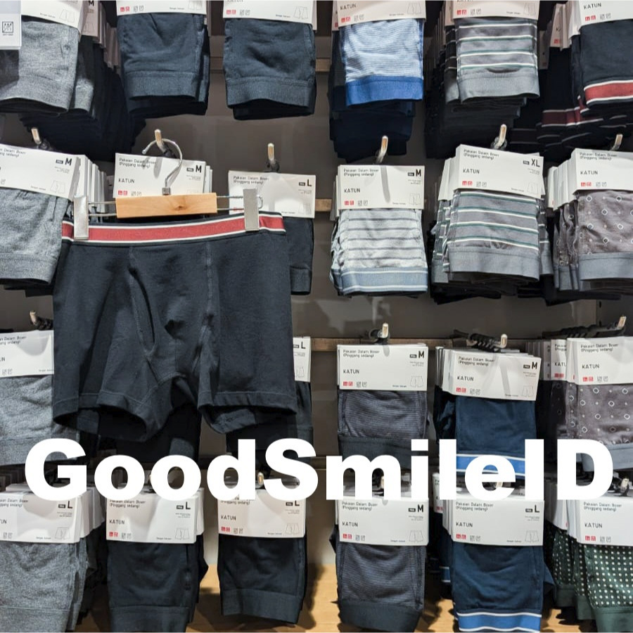 SALE Men Boxer Katun Regular Rise Celana Dalam Pria Pinggang Sedang Cotton CD Cowok Briefs JASTIP UN