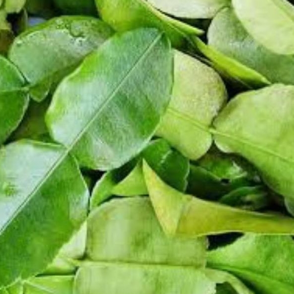 

Daun Jeruk 100 gram