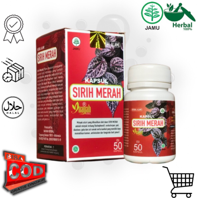 Kapsul Daun Sirih Merah Isi 50 kapsul