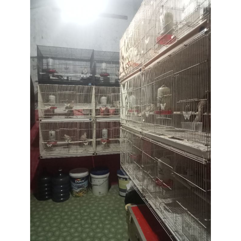 Puter Pelung Gacor Pilihan