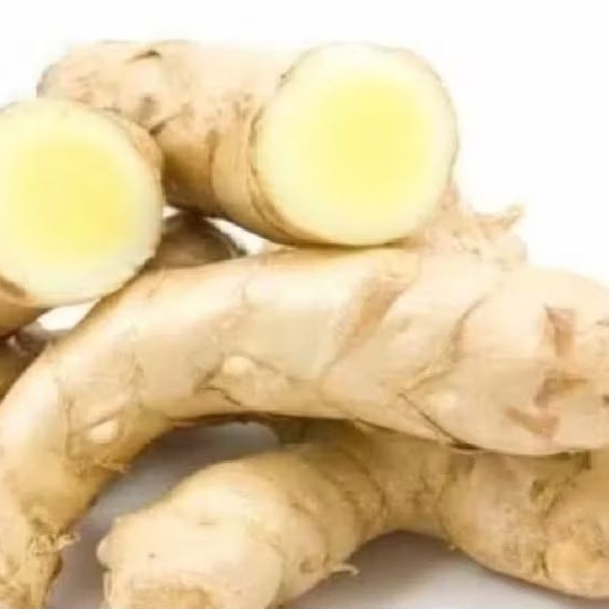 

temu putih /kunyit curcuma obat jamu tradisionl