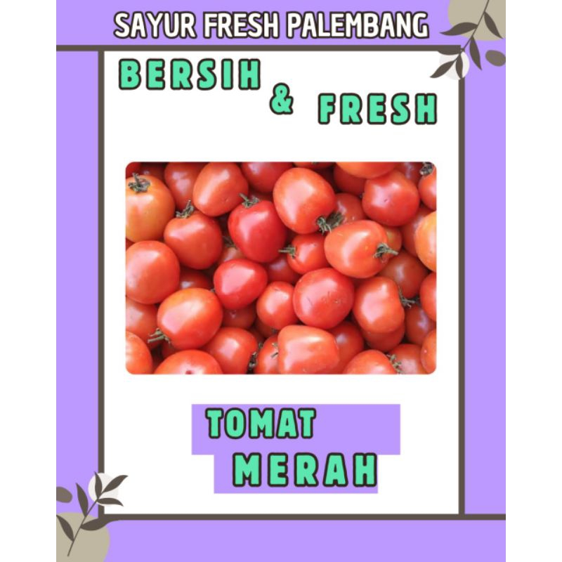 

TOMAT MERAH / HIJAU FRESH & BERSIH PALEMBANG