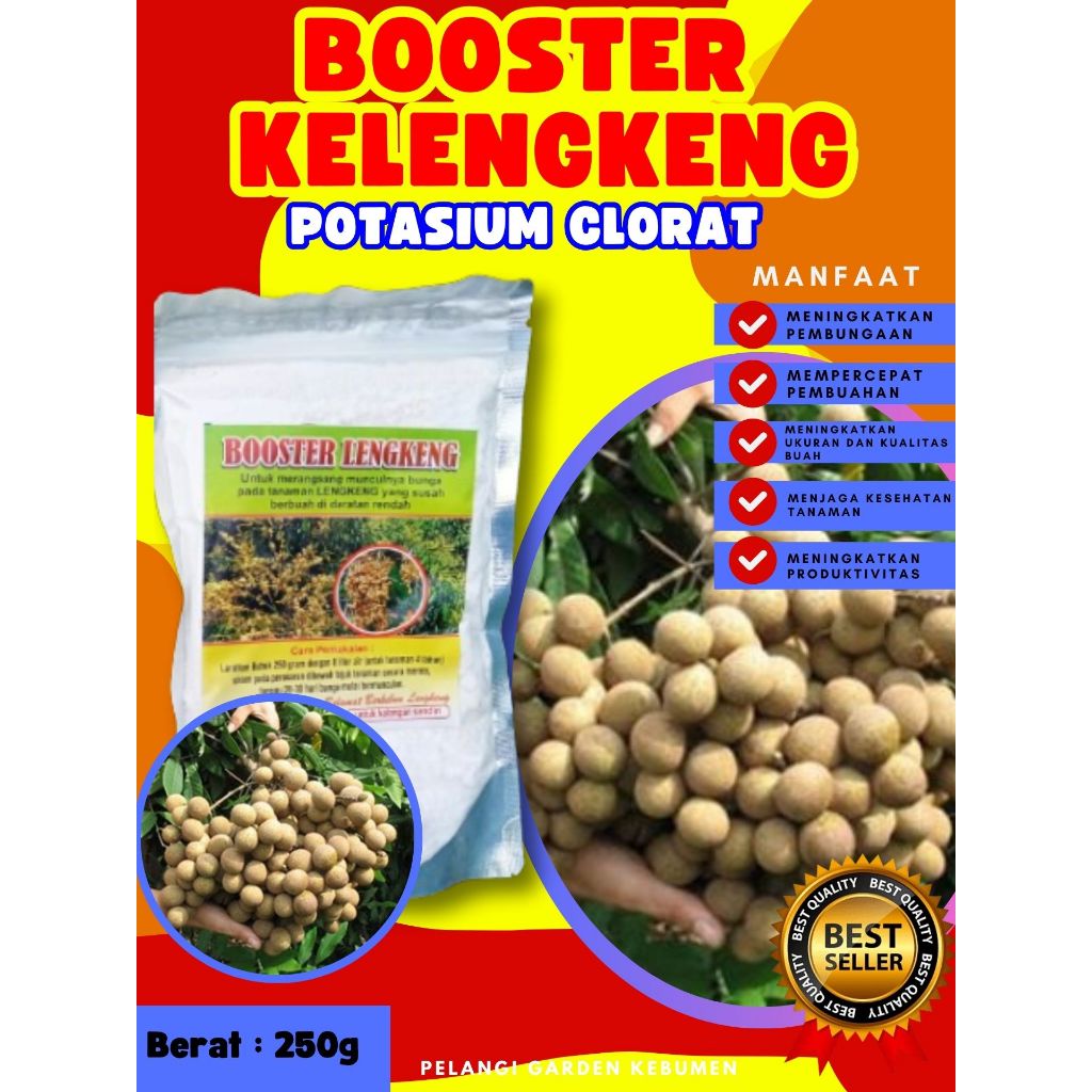 PROMO  Booster Kelengkeng Merah Cangkok Berbuah, Booster Kelengkeng Matalada, Booster Kelengkeng Mer