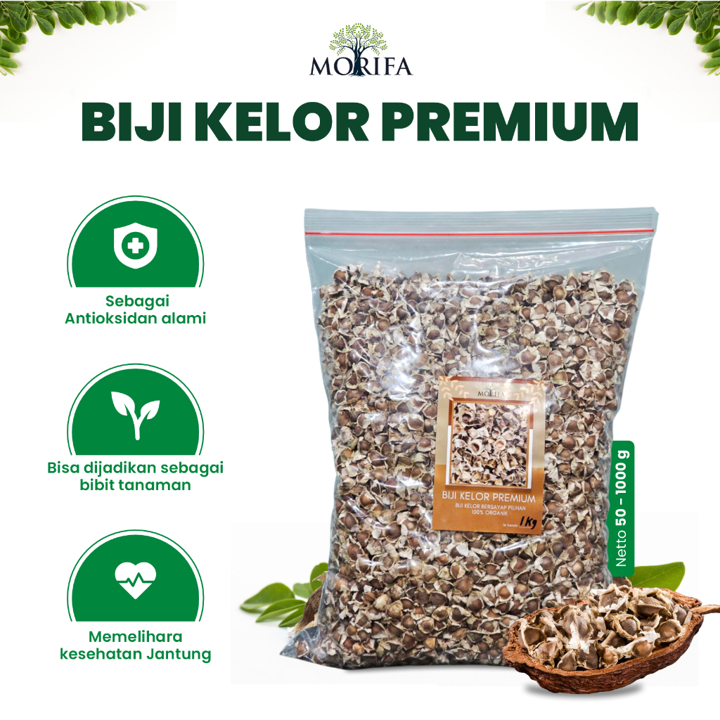 

MORIFA Biji Kelor Kering Bersayap Moringa Seed Biji Kelor Asli 100gr