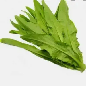 

sayur siomak