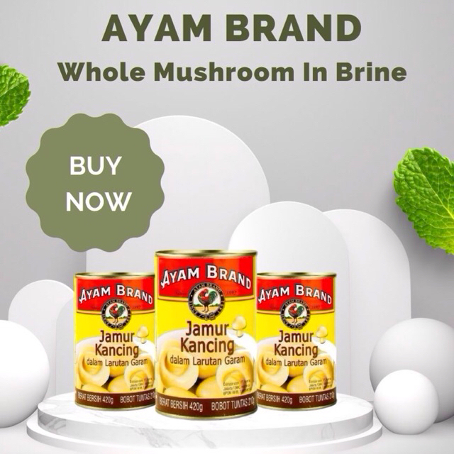 

Ayam Brand ( PROMO BELI 1 GRATIS 1) Whole Mushroom In Brine Jamur Kancing dalam Kemasan Kaleng 420gr