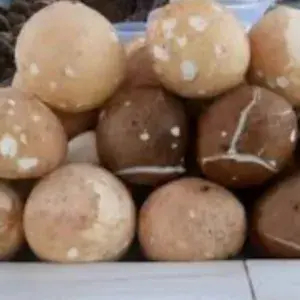 

KELAPA TUA KUPAS /biji