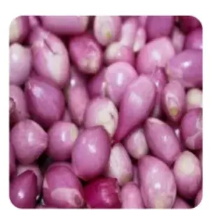

bawang merah kupas/pack