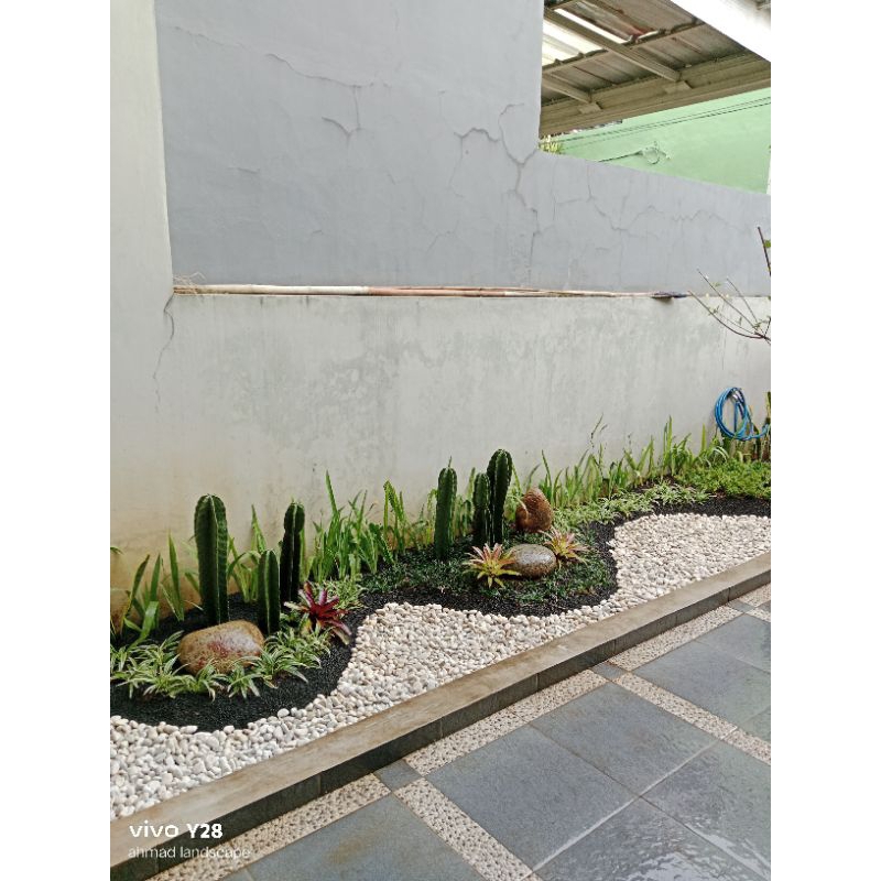 taman kering minimalis depan rumah/taman cantik