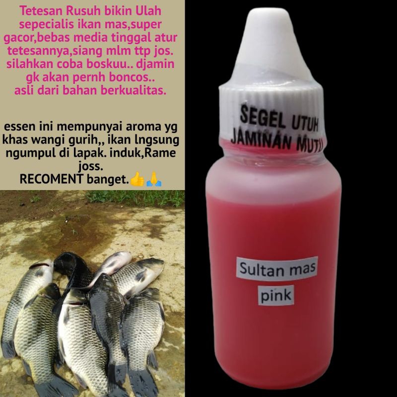 Essen sultan mas Fink tetesan umpan ikan mas gacor