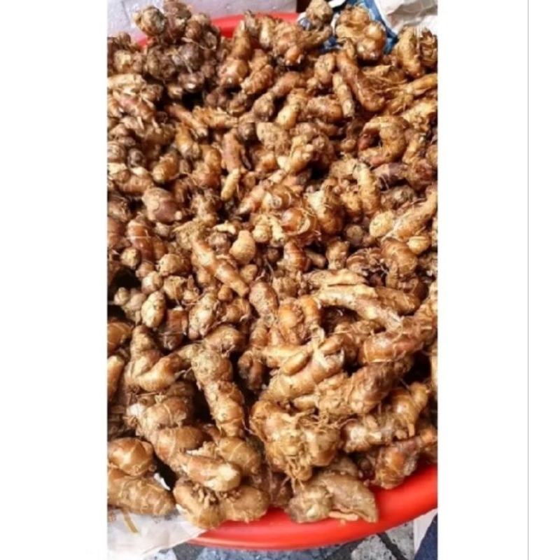 

KENCUR TUA / KENCUR SEBLAK /KENCUR BESAR SEGER PRESS 1KG