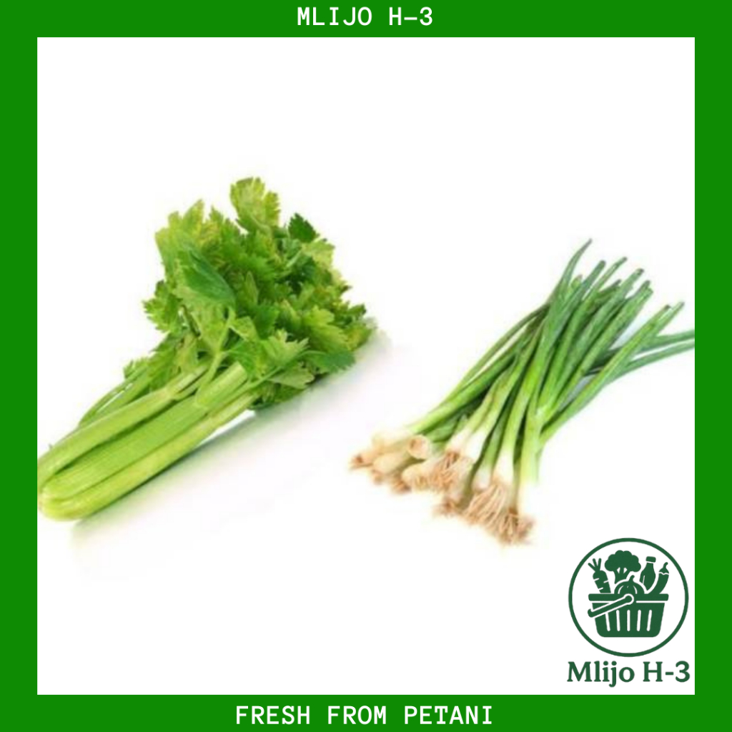 

Daun Pre dan Daun Seledri Segar