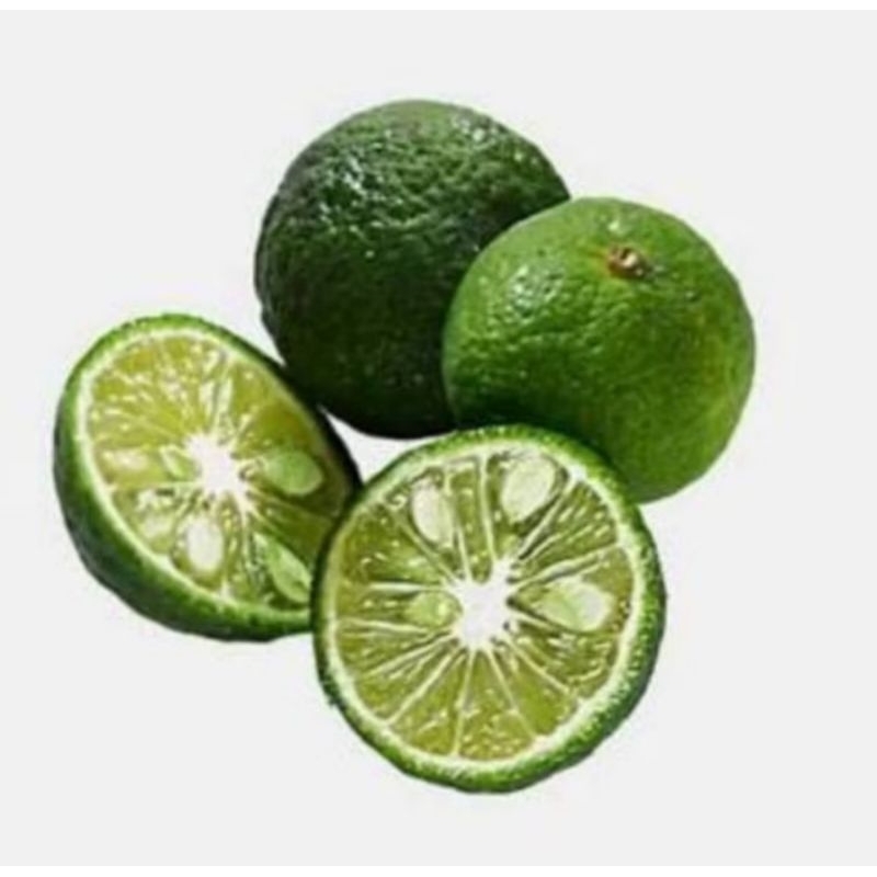 

biji jeruk limau 30 butir