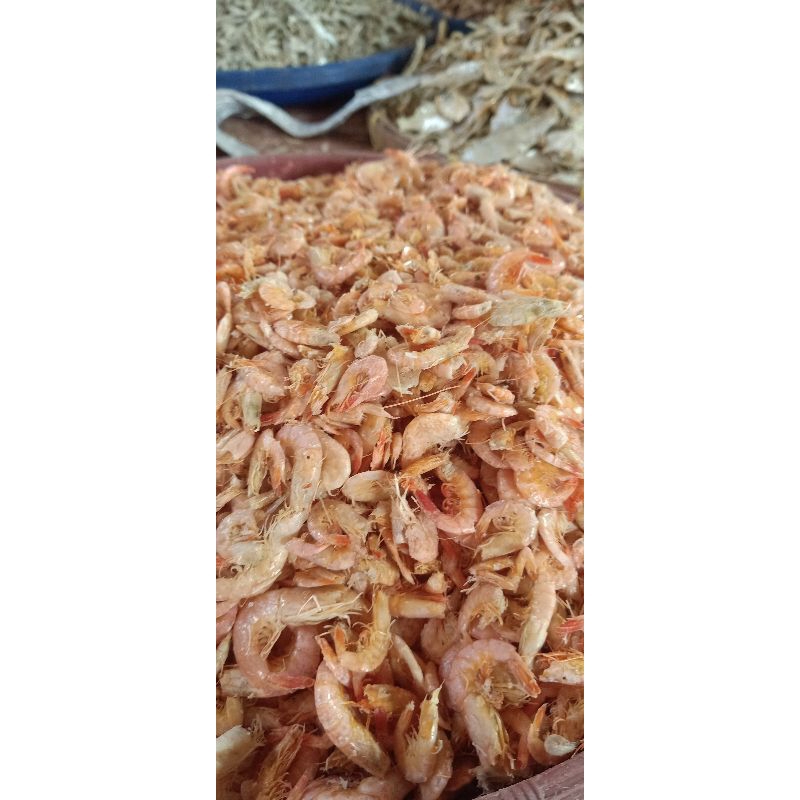 

IKAN ASIN UDANG MERAH KASAR