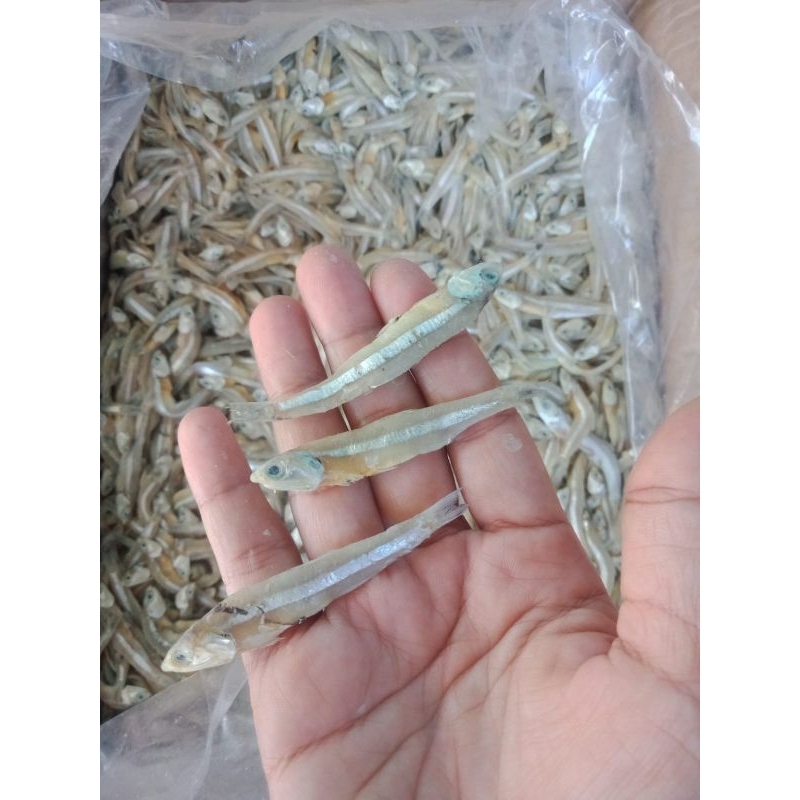 

teri jengki asin murah,teri jengki cop,semikering termurah 1kg