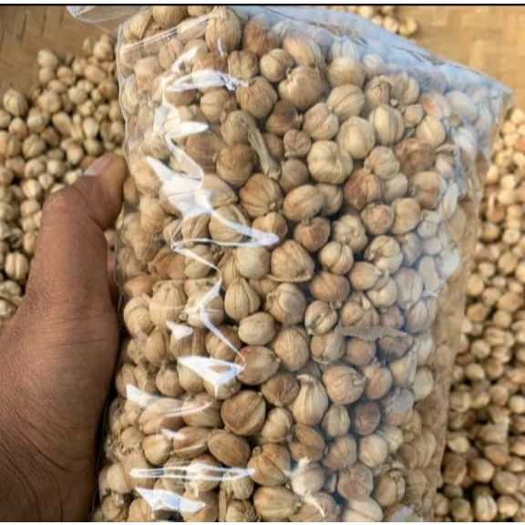 

Kapulaga Jawa Super Kering 100% Alami