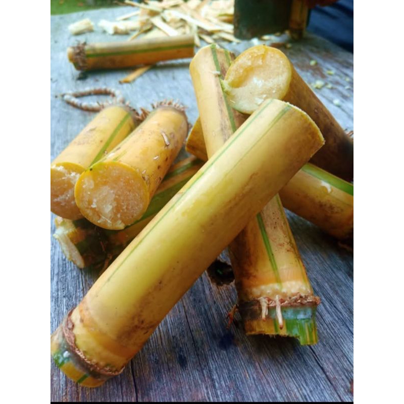 

1 kg tebu manis tebu kuning