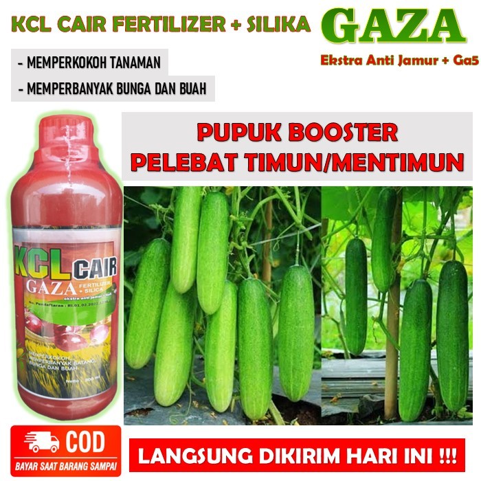 KCL CAIR FERTILIZER + SILIKA GAZA Ekstra Anti Jamur + Ga5 pupuk boster pelebat timun - pupuk organik