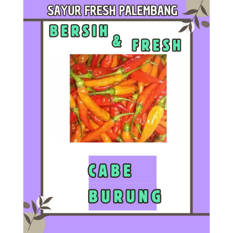 

CABE BURUNG FRESH & BERSIH - PALEMBANG