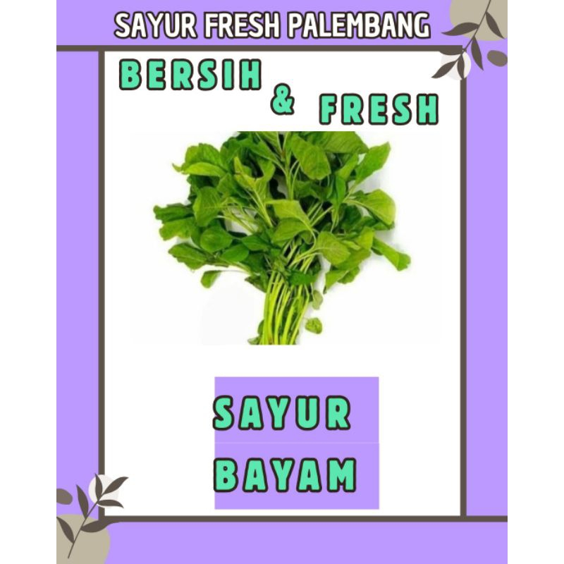 

SAYUR BAYAM BERSIH & FRESH - PALEMBANG