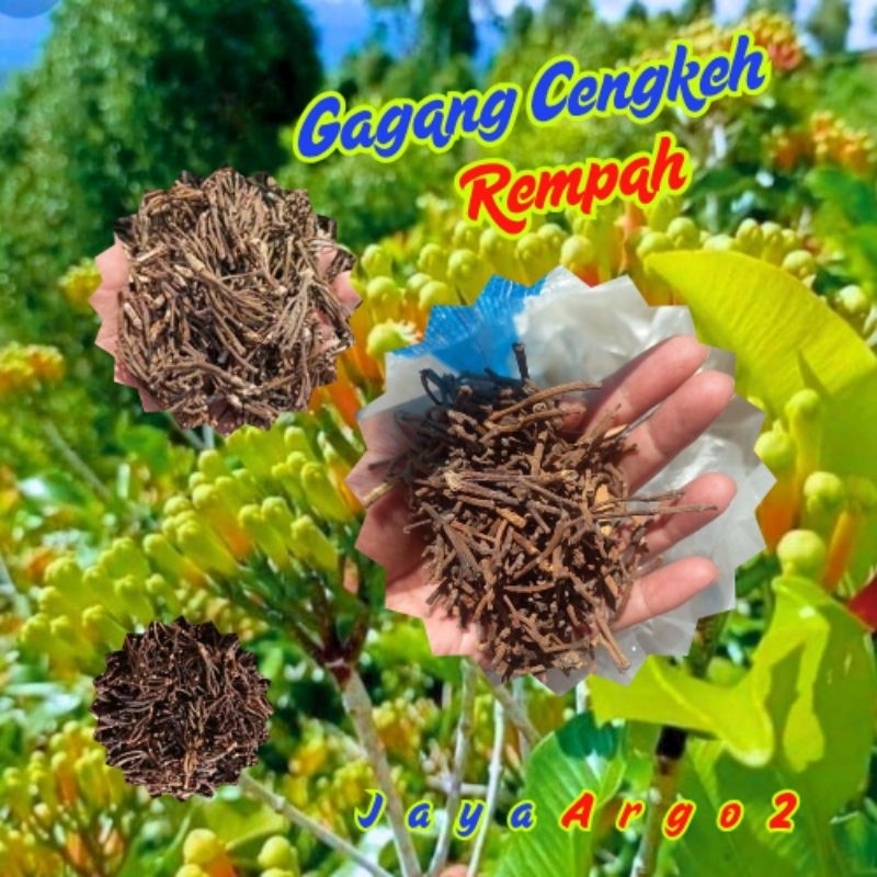 

Gagang Cengkeh rempah 1 kg