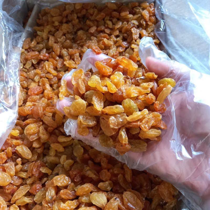 

Kismis Asam Manis Golden Raisin Enak & Fresh Cocok Untuk Oleh-oleh Haji Umroh Camilan Sehat