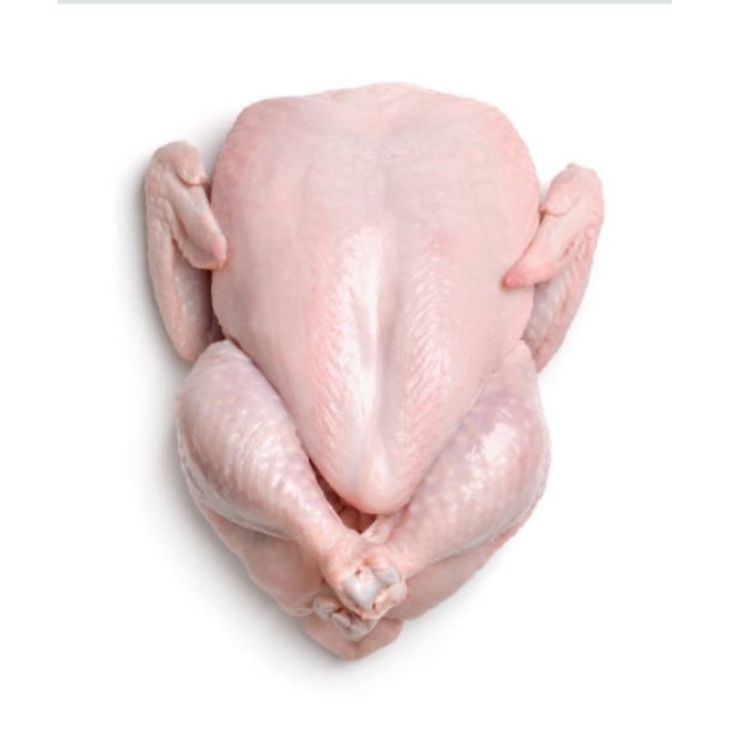 

daging ayam segar 1kg