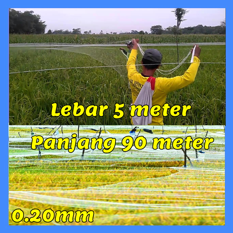 Jaring burung, jaring padi, jaring emprit, jaring sawah bonus tali 0.20mm  panjang 90meter