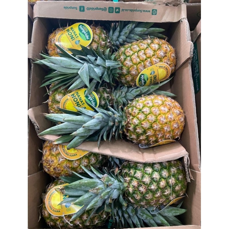 PROMO... nanas honi sunpride isi 8/10/15 buah / nanas honi 1 dus isi 8/10/15 buah