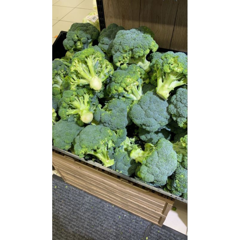 

Brokoli per bonggol FRESH BATAM