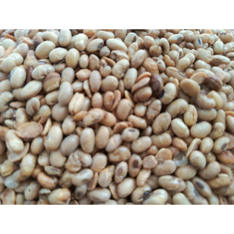 

kacang kedelai goreng asin gurih pedas renyah 1kg siap saji