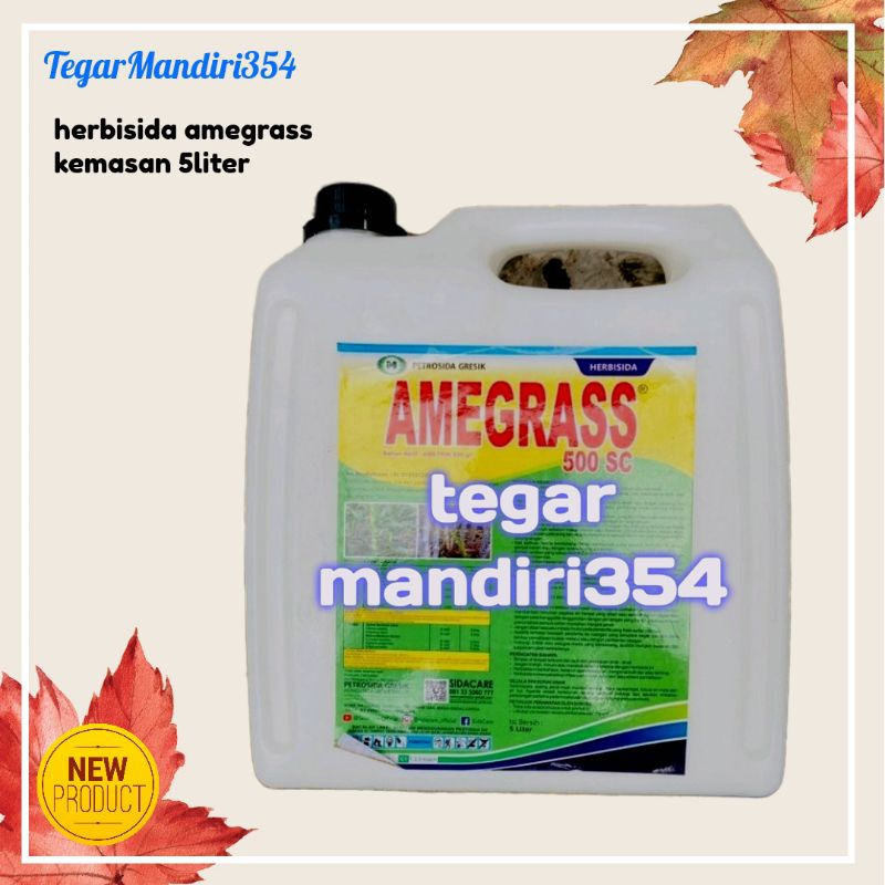 HERBISIDA AMIGRAS 5LITER Racun gulma pada tanaman tebu amegras 500sc 5liter / racun gulma tebu Amigr