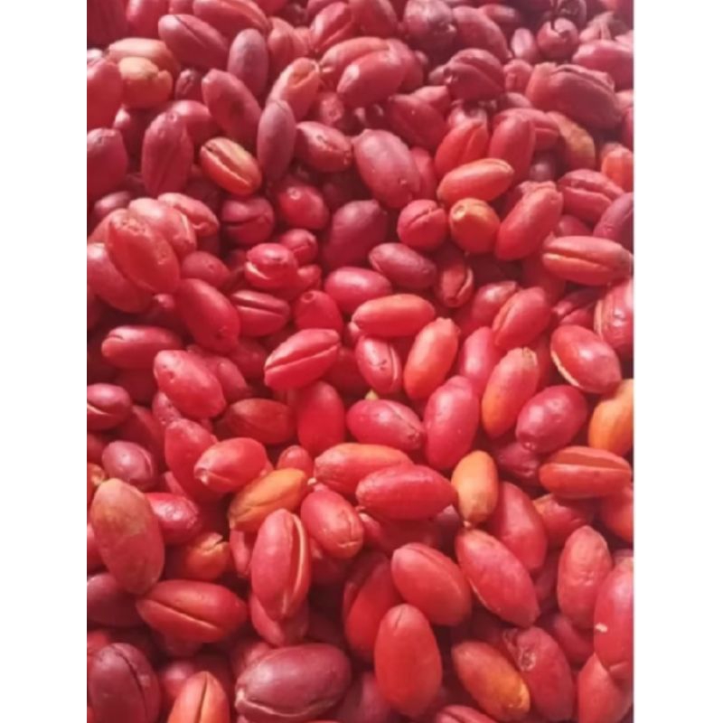 

Kulit Melinjo Segar 500gram