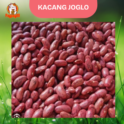 

KACANG JOGLO KERING MERAH ASLI KUALITAS PREMIUM 500 GRAM