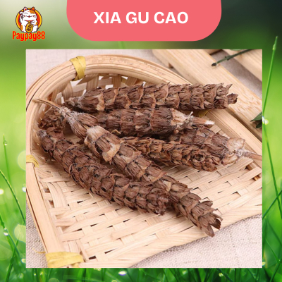 

XIA KU CAO / HERBAL XIA GU CAO/ TEH PRUNELLA VULGARIS 500 GRAM