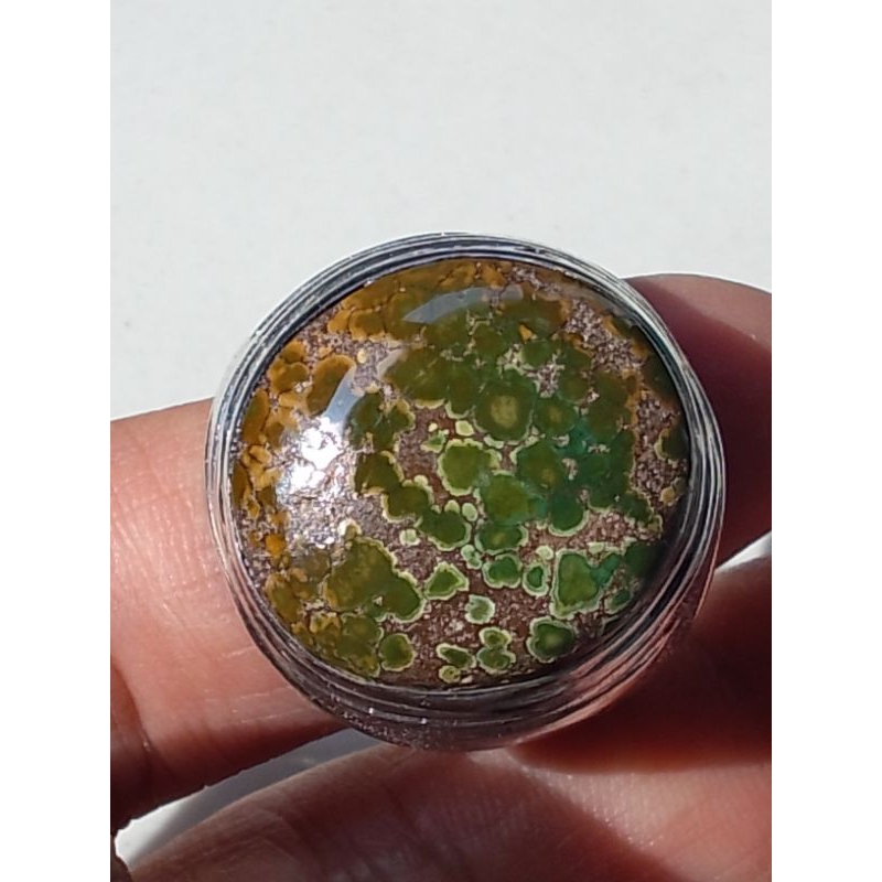 Pirus Persia, Pirus Persia Lawasan, Pirus Persia Hijau HQ