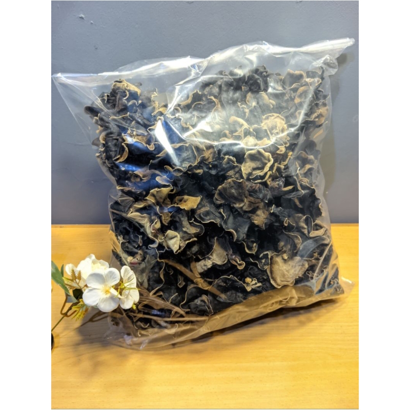 

Jamur Kuping Kering Kualitas Super