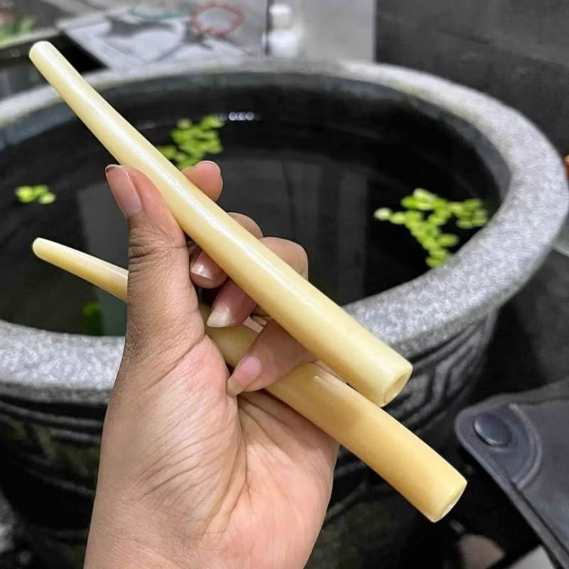 Piparokok Tulang Rasa Gading Asli Nikmat Gurih Lubang multifungsi