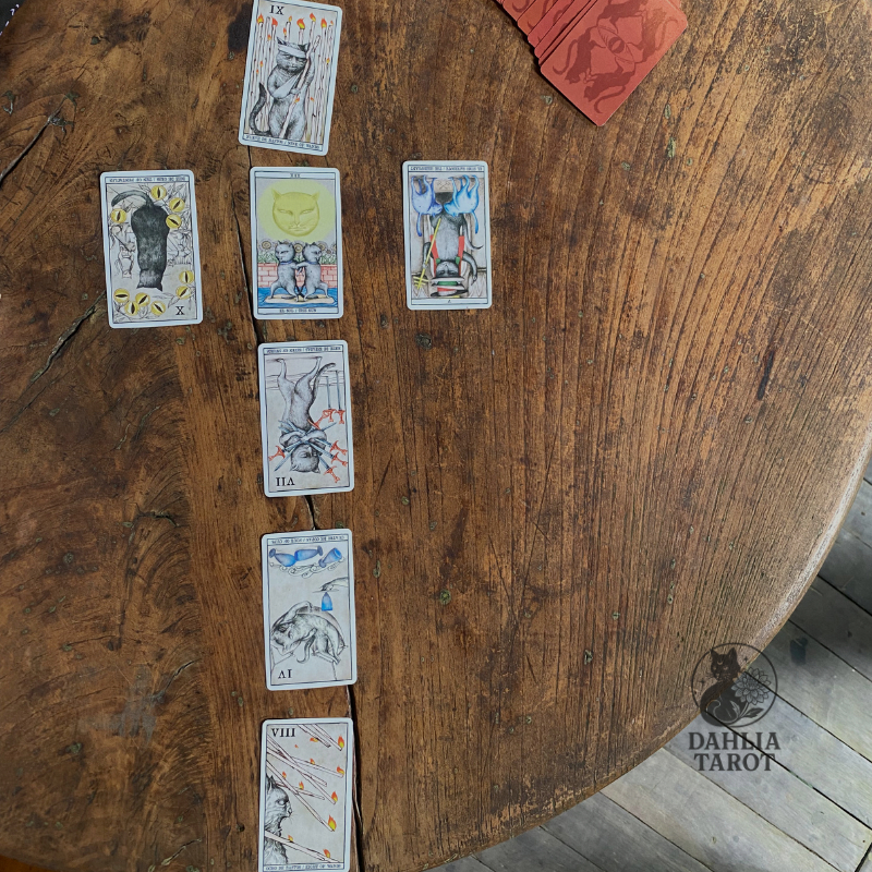 Jasa Baca Tarot Asmara (Tarot Reading)