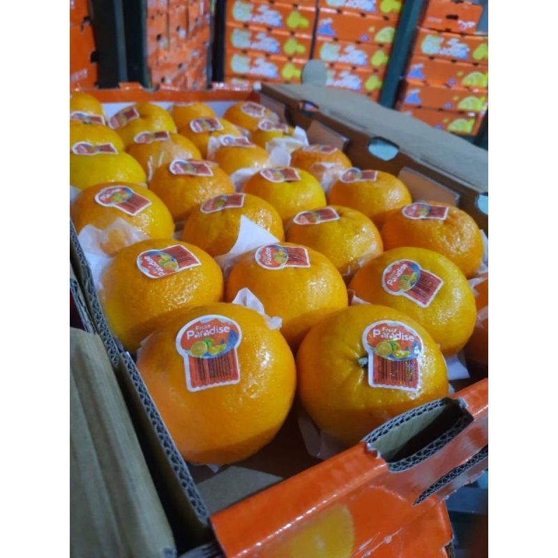 

Jeruk Wogan Citrus Paradise Premium 1kg – Manis & Segar, Banyak Air