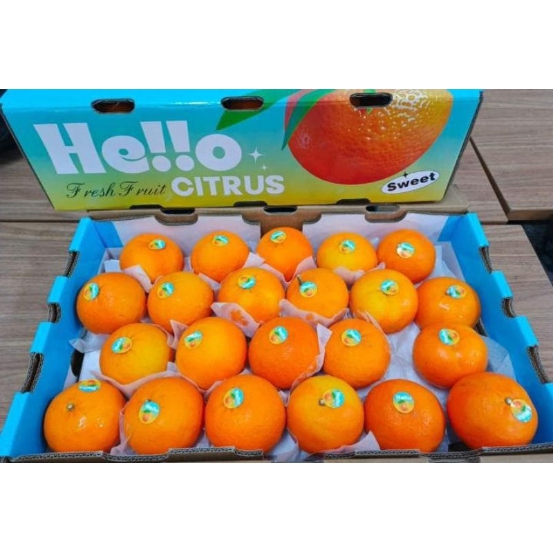 

Jeruk Wogan Hello 1kg – Manis Segar & Berkualitas