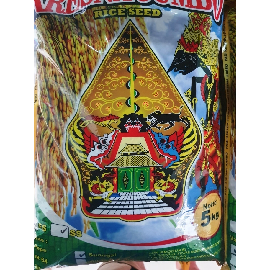 BIBIT PADI SUNGGAL KRESNA 72