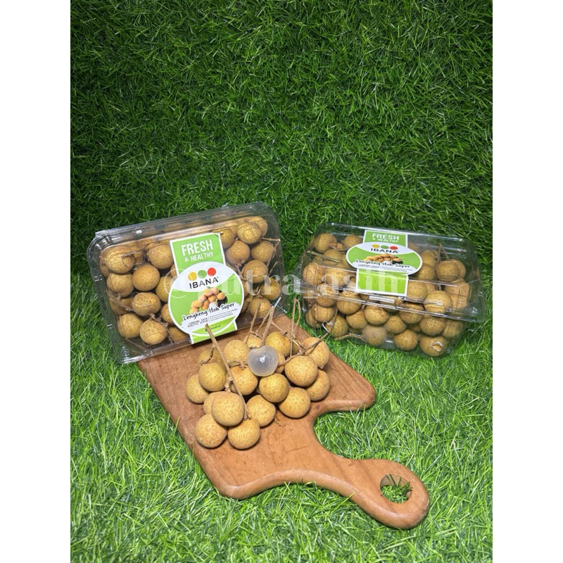 

Fresh Kelengkeng Itoh Lokal 1 Pack