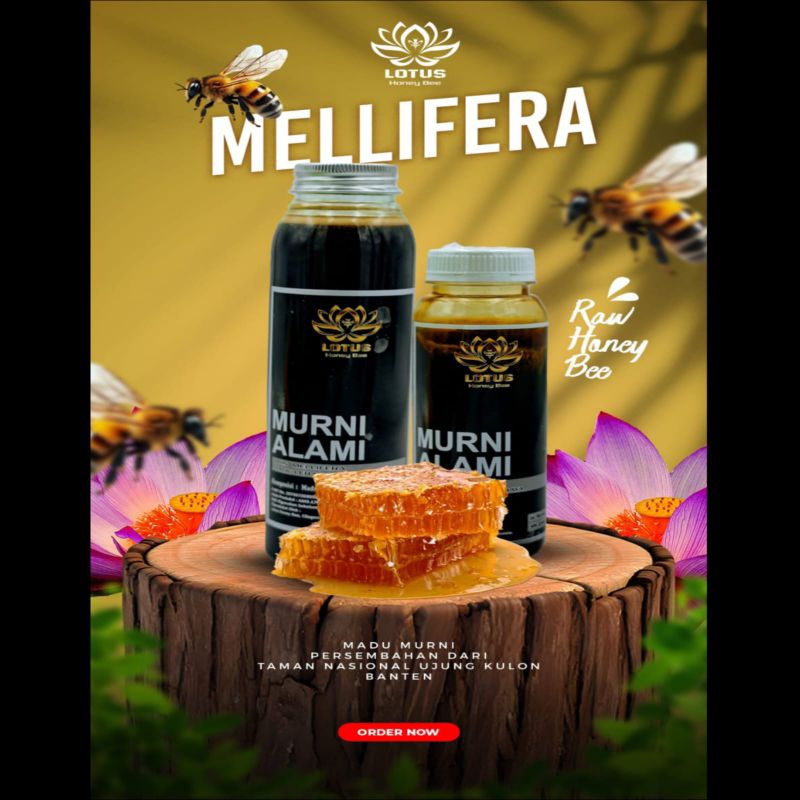 

Madu Murni Pedalaman Ujung Kulon | Lebah Mellifera | Lebah Cerana | Lebah Trigona | Lebah Dorsata