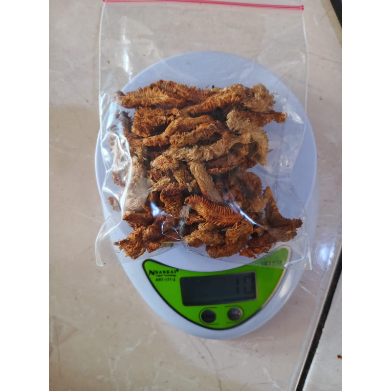 Pakan Ikan Predator dan Burung Cacing Laut Kering Kualitas Tinggi